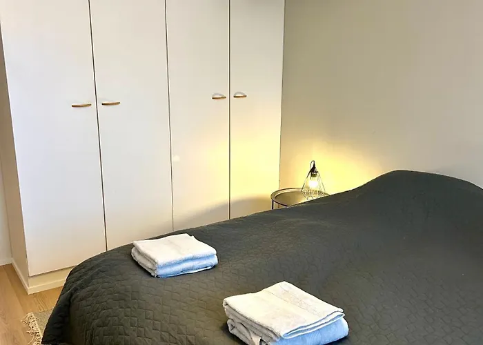 Saunallinen Kaksio Jyvaeskylaessae